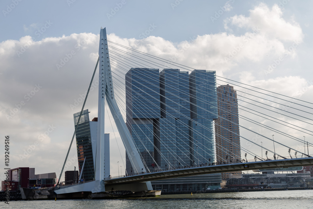 Fototapeta premium Erasmus bridge. Rotterdam. Netherlands.