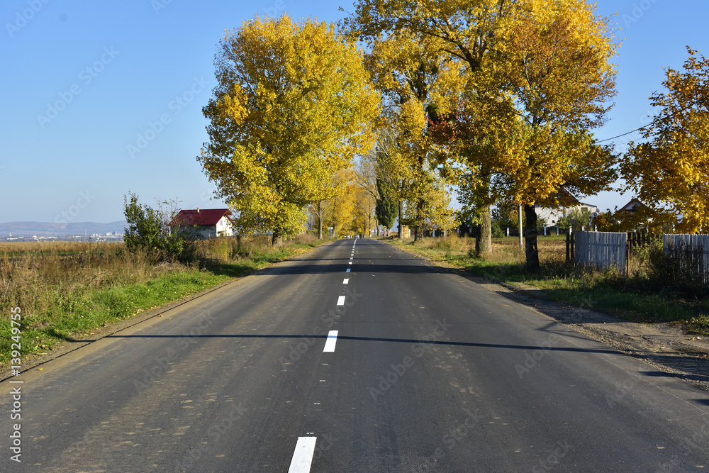 Autumn landscape with road and beautiful colored trees Autumn landscape with road and beautiful colored trees