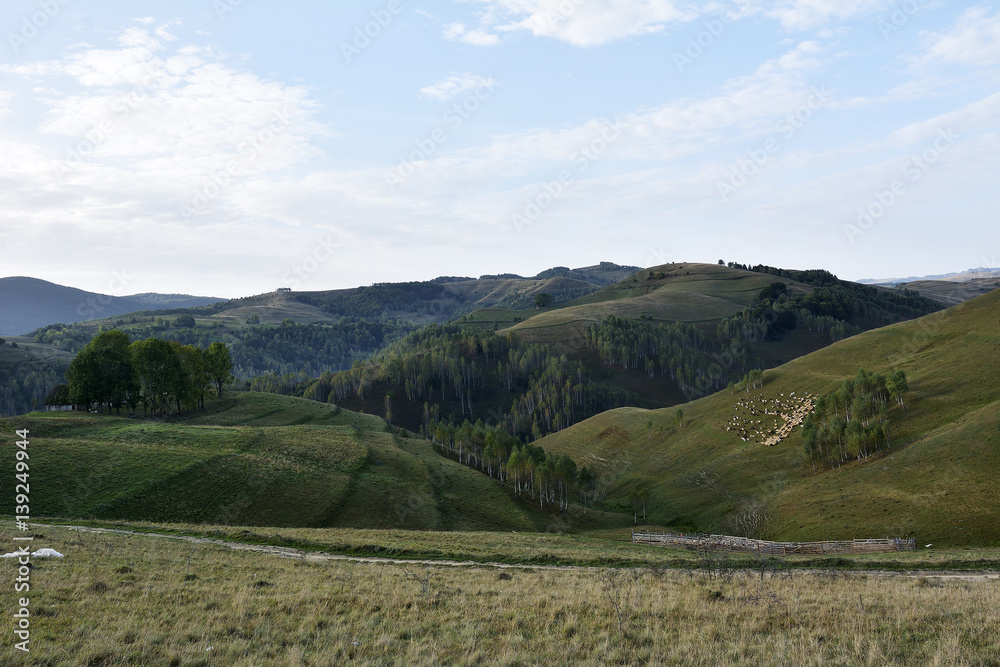 spring time landscape on wild transylvania hills.  Romania. Low key, dark background, spot lighting, and rich Old Masters