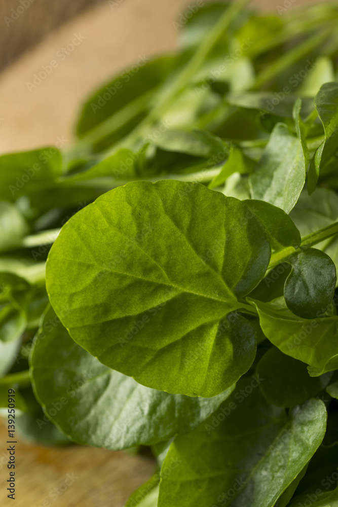 Raw Green Organic Living Water Cress Raw Green Organic Living Water Cress