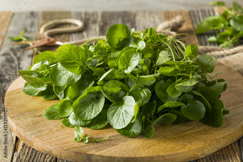 Raw Green Organic Living Water Cress