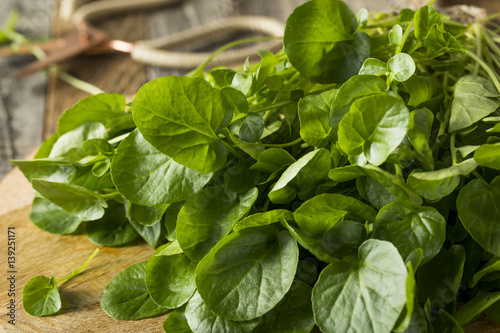 Raw Green Organic Living Water Cress