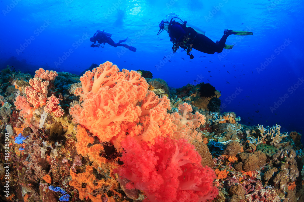 Fototapeta premium Beautiful soft corals and SCUBA divers on a tropical reef