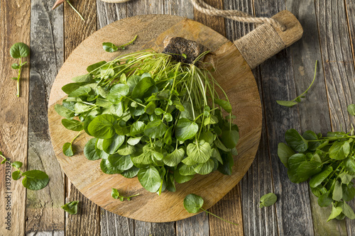 Raw Green Organic Living Water Cress