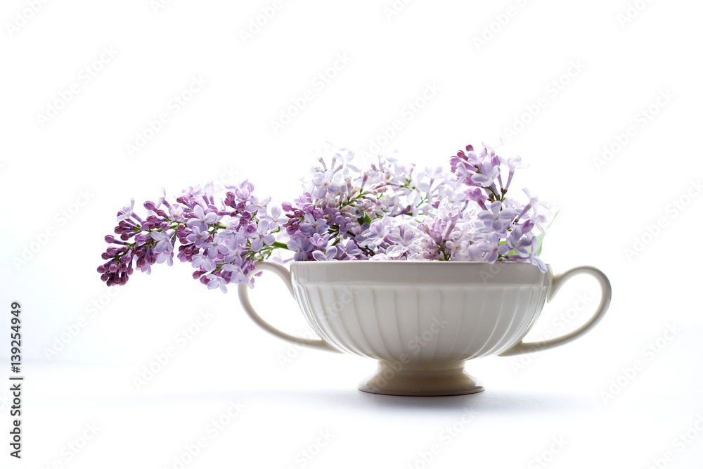 Lilac in a white vase on a white background