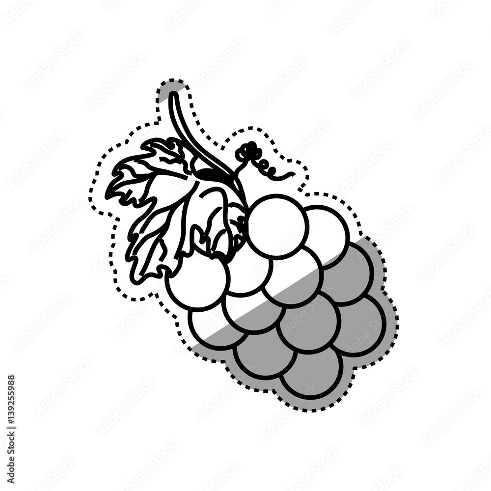 grapes delicious fruit icon vector illustration graphic design grapes delicious fruit icon vector illustration graphic design