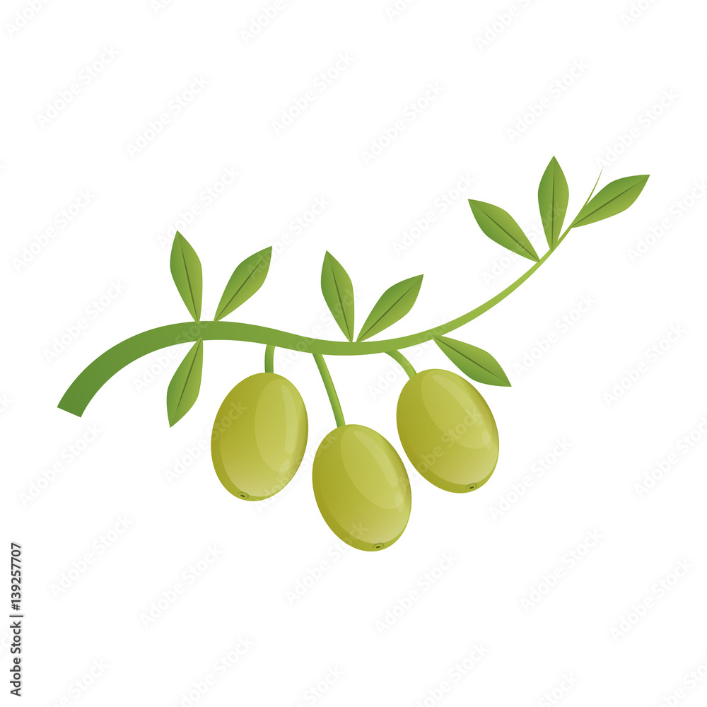 Olive oil healthy food icon vector illustration graphic design