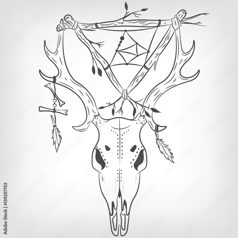 Fototapeta Deer Skull and Dreamcatcher. Vector print