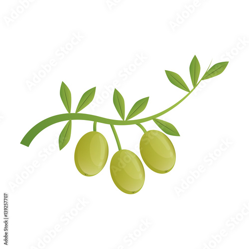 Olive oil healthy food icon vector illustration graphic design