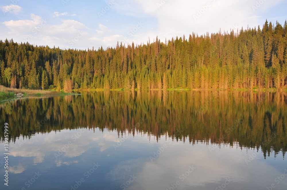 Autumn forest lake reflection
