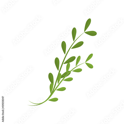Plant branch isolated icon vector illustration graphic design