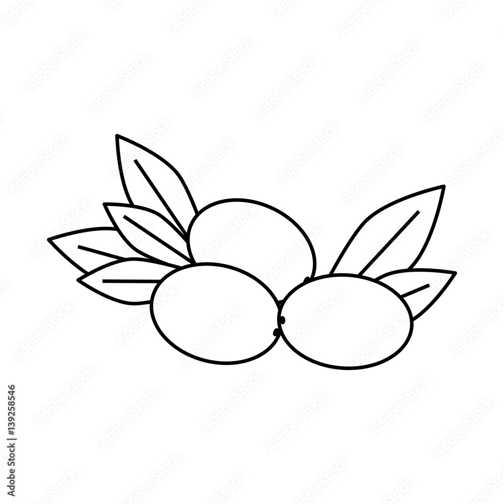 Olive oil healthy food icon vector illustration graphic design