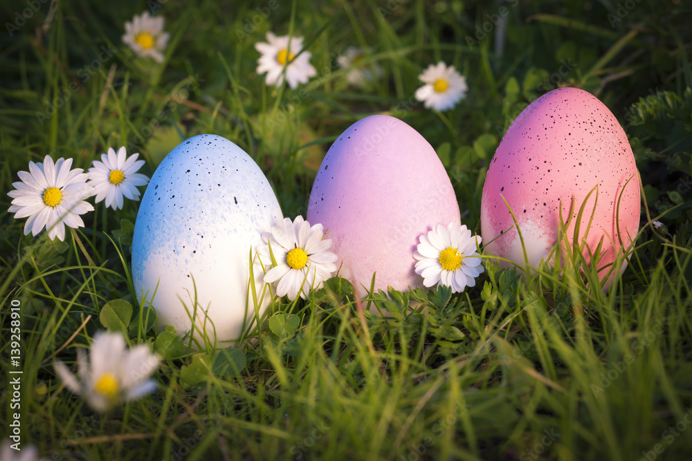 Easter eggs on natural field Easter eggs on natural field