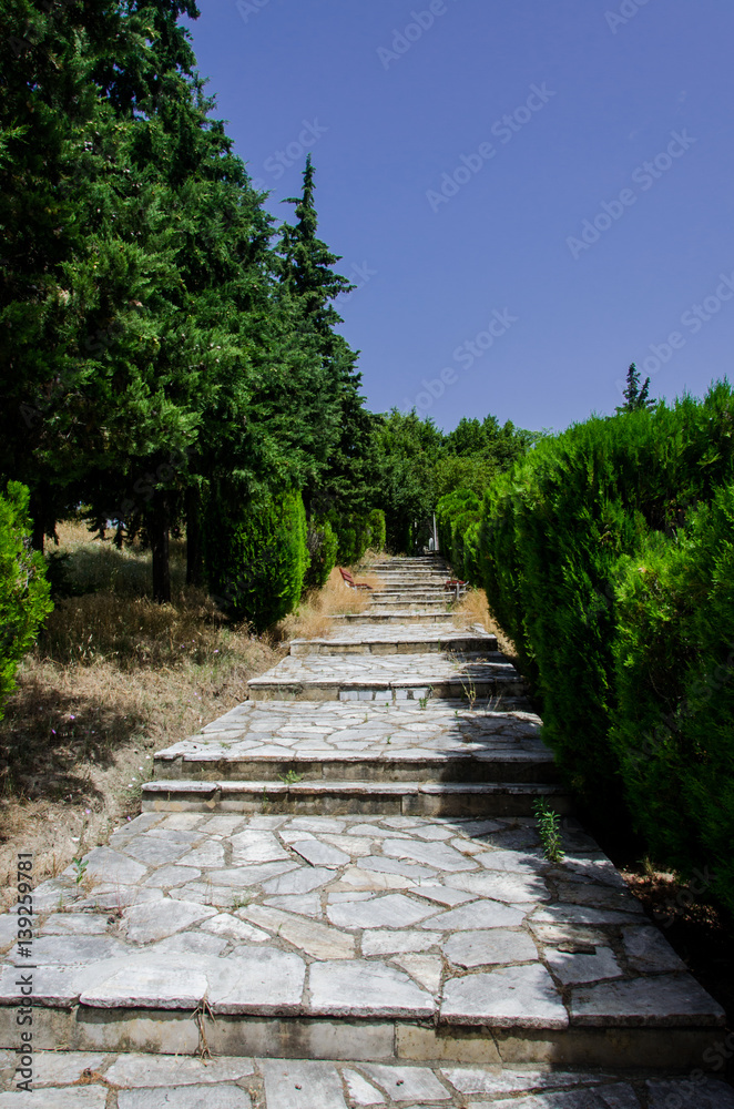 Stone Path in the Forest