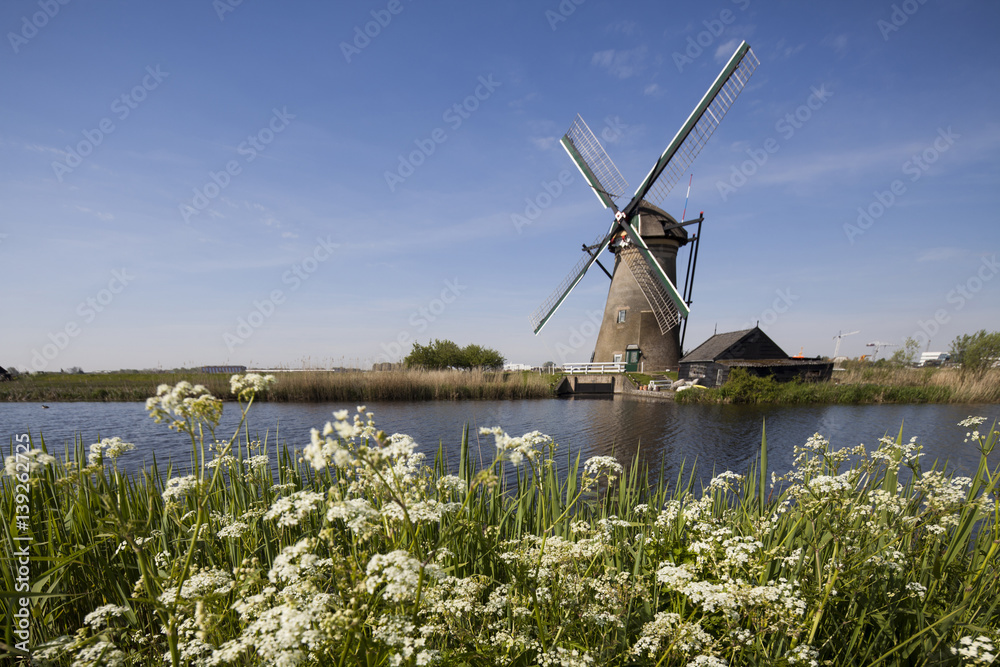 Dutch windmill in Kinderdijk