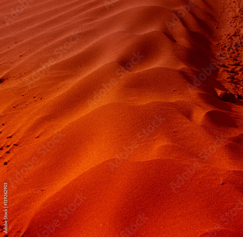 Beautiful sand dunes in the Sahara deser