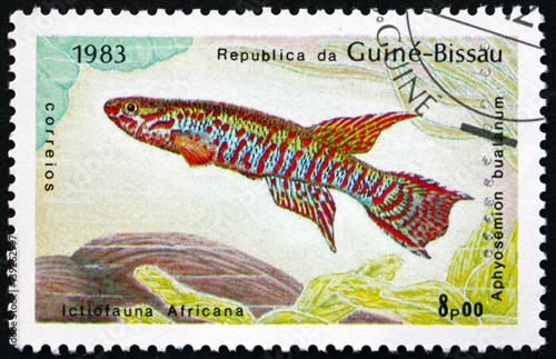 Postage stamp Guinea-Bissau 1983 Aphyosemion bualanum, fish photo