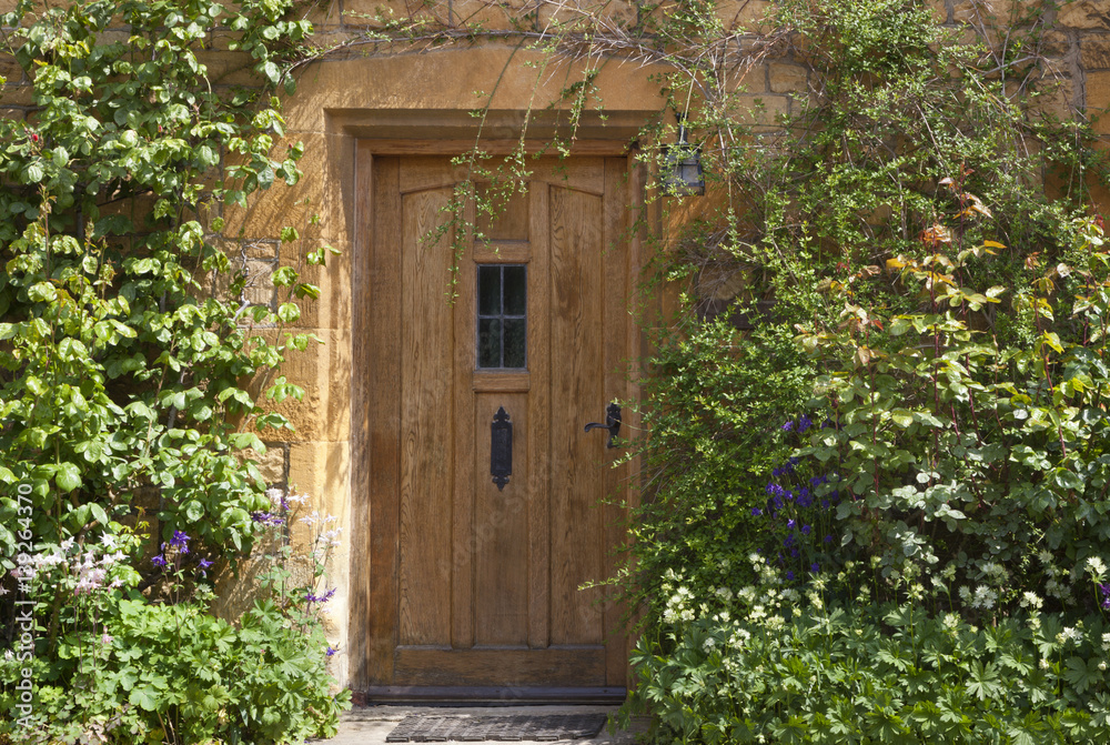 Obraz premium brown wooden doors in an old traditional English lime stone house with flowers, rosebush, climbing shrubs in the front garden, on summer day .