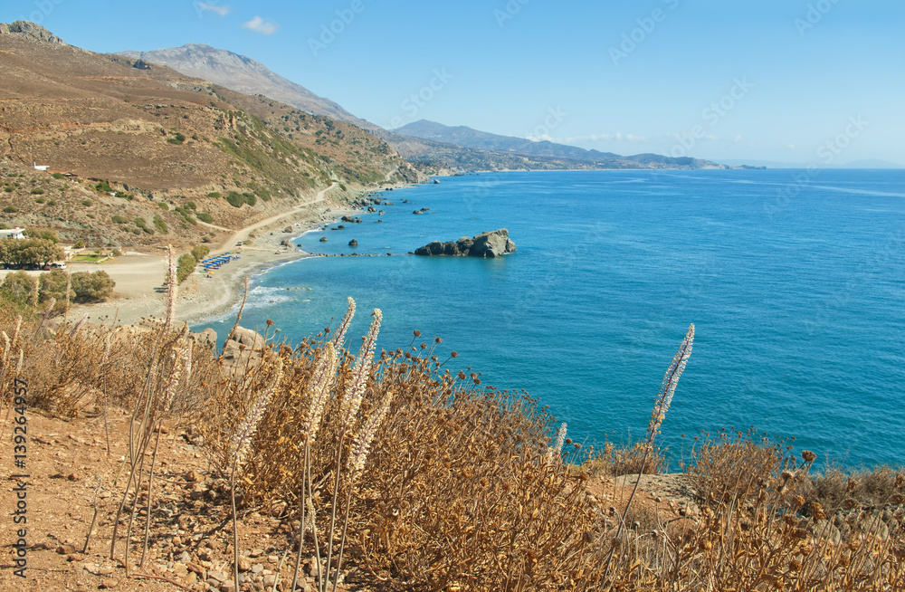 view of beach from mountain top with flowers at foreground