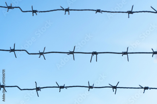 lines barbed wire. focus with shallow depth of field. closeup