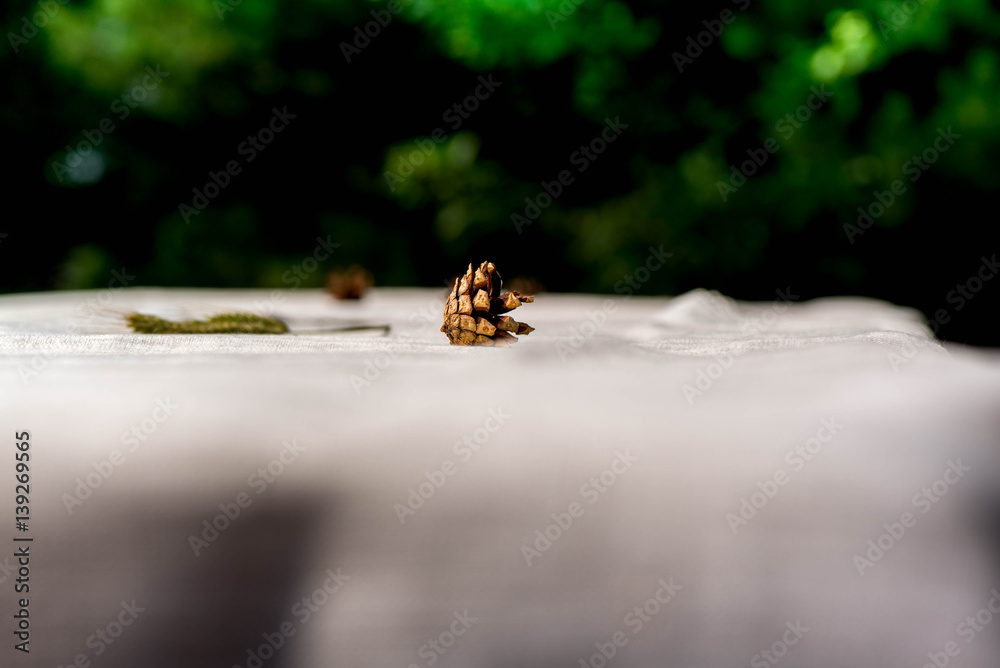 Shot of a pine cone on a linen tablecloth on a green background
Shot of a pine cone on a linen tablecloth on a green background