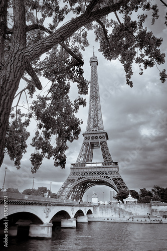Fototapeta Naklejka Na Ścianę i Meble -  Monochrome vintage view of Eiffel tower framed with the tree, Paris