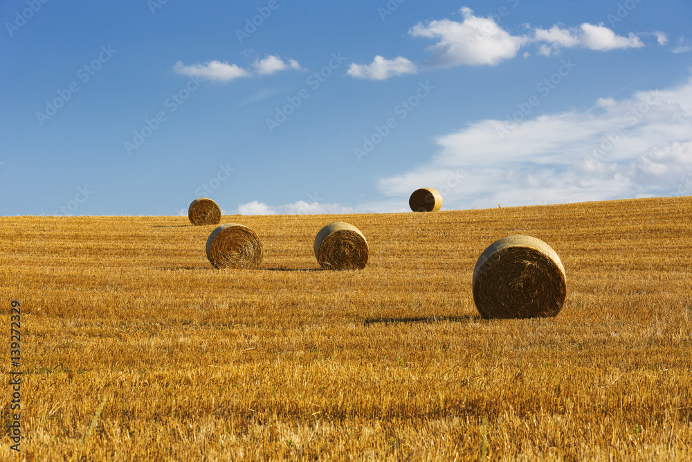 Hay Bails, Tuscany, Italy