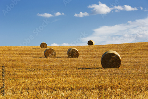 Hay Bails, Tuscany, Italy