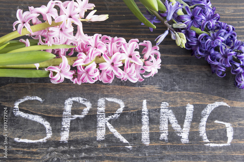 Word Spring with Hyacinths on a  Wooden Background