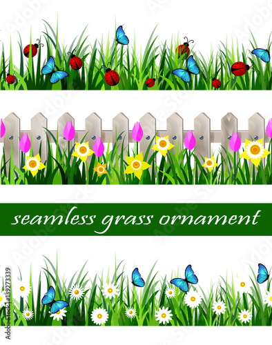 Green Grass seamless photo