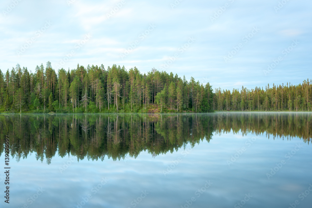Forest and lake with a beautiful reflection.