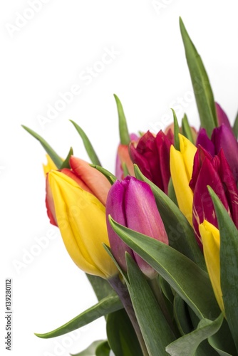 Beautiful bouquet of tulips at white background isolated, Women's Day