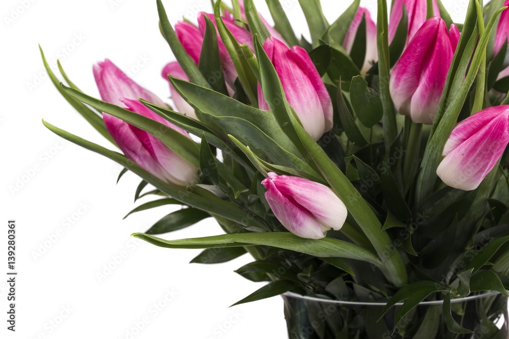 Beautiful bouquet of tulips at white background isolated, Women's Day Beautiful bouquet of tulips at white background isolated, Women's Day
