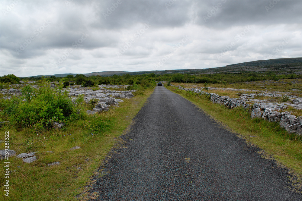 Road in landscape of Ireland