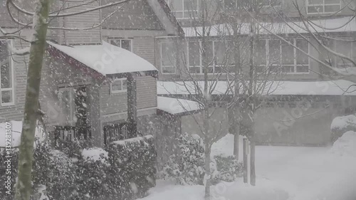 Snow Fall at Townhouse Ground during Cold Winter