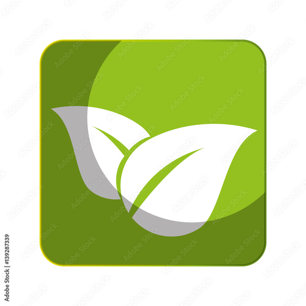leafs plant ecology symbol vector illustration design