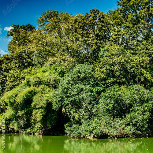 Mountain trees and green lake