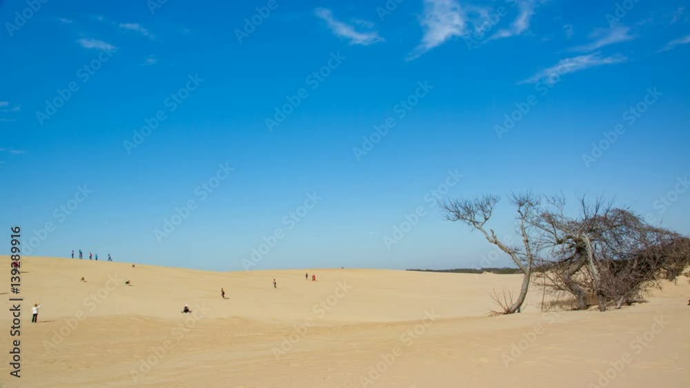 Jockey's Ridge National Park Sand Dune in Nags Head on the Outer Banks of North Carolina with Visitors Enjoying Recreational Activities on a Sunny Day Jockey's Ridge National Park Sand Dune in Nags Head on the Outer Banks of North Carolina with Visitors Enjoying Recreational Activities on a Sunny Day