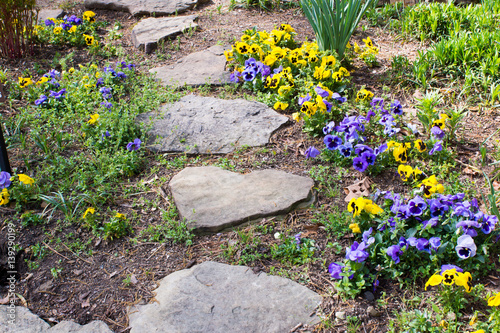 The path of stones among the flowering pansies