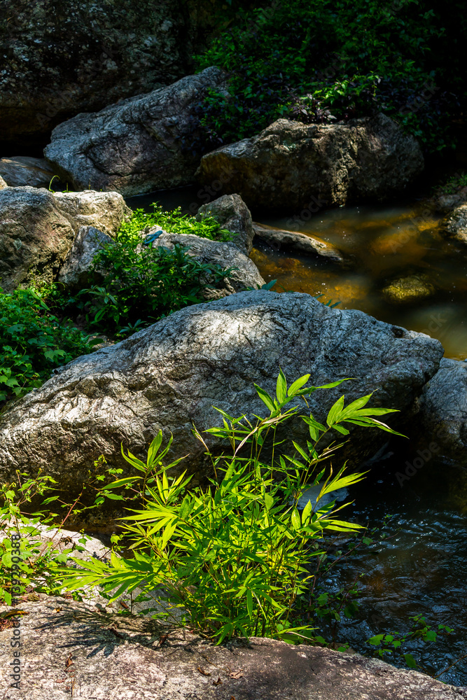 Flowing water Flowing water