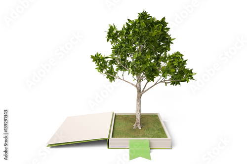 An open book and the tree.3D illustration.