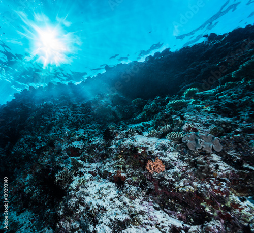 Fototapeta Naklejka Na Ścianę i Meble -  Rays of sunlight shining into sea, underwater view