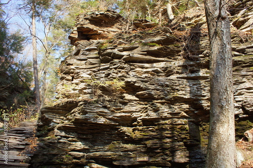 Ricketts Glen photo