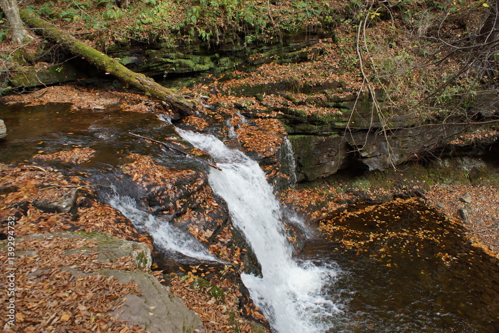 Fototapeta premium Ricketts Glen