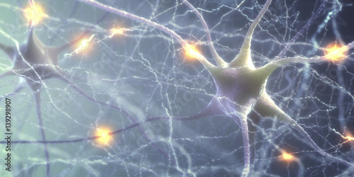 Close-up of nerve cells of the human brain