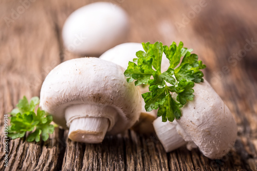 Mushroom. Champions mushrooms in different positions with herb decoration.