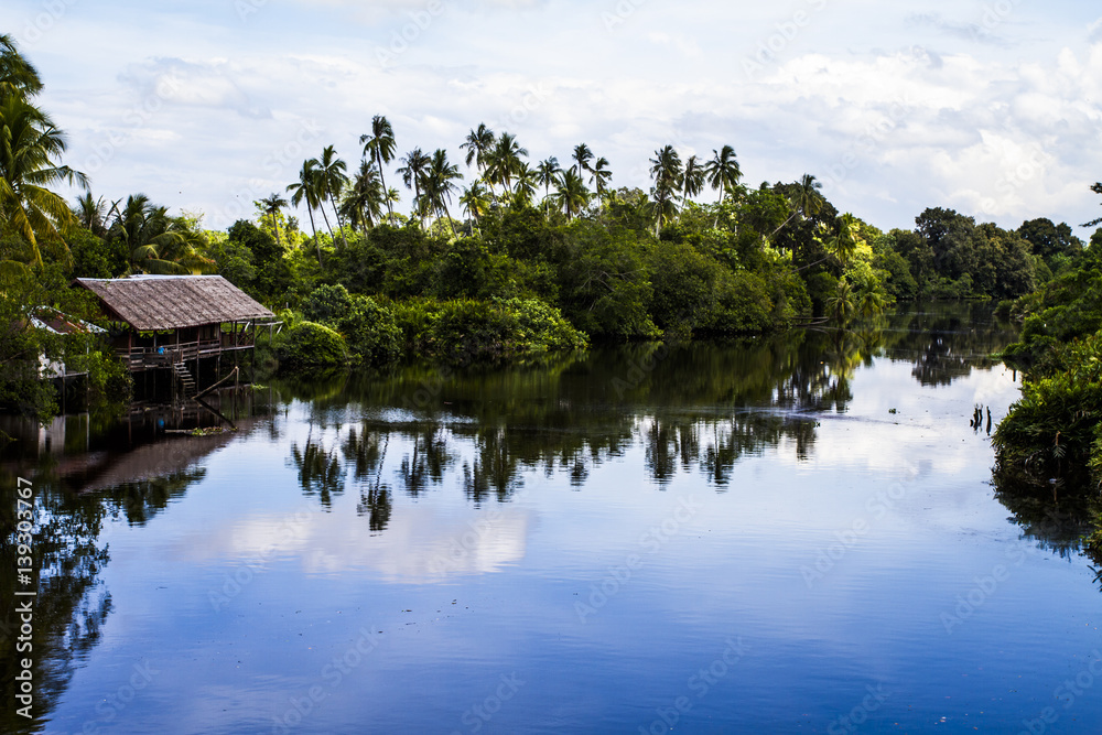 Obraz premium Jungle river in Borneo