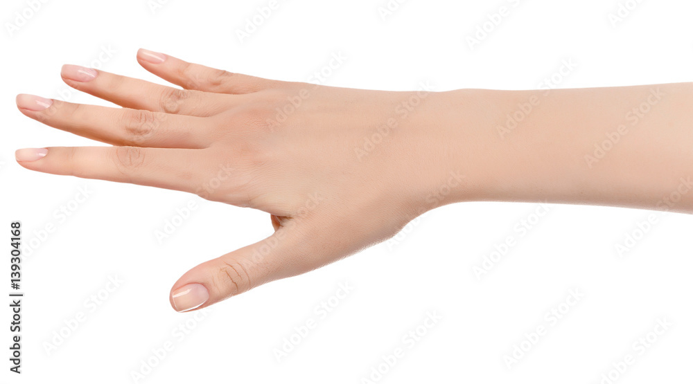 Stretched hand of woman isolated over white background. Open palm hand gesture of woman hand. Close up of open palm isolated over white background.