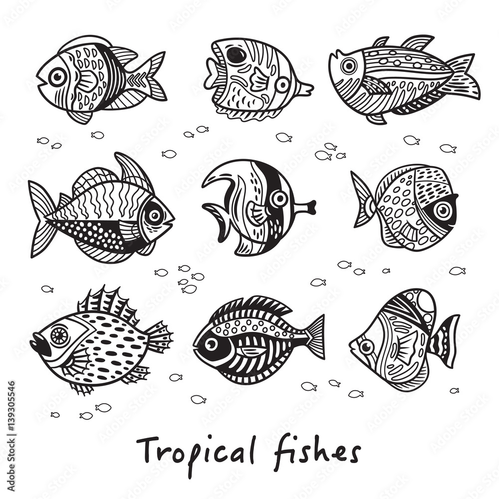 Black and white set of tropical fishes. Vector illustration Black and white set of tropical fishes. Vector illustration