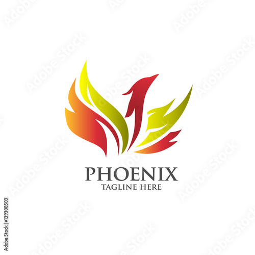best luxury phoenix consulting element logo  vector concept
